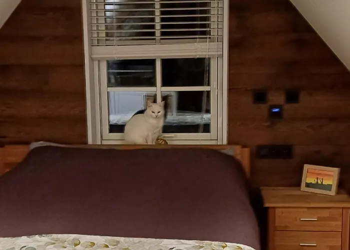 Namelis Su Pirtimi Kaunas